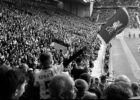 Young Fan With Flag